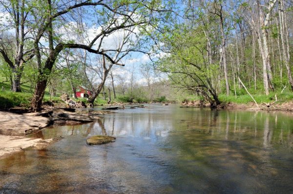 Foxfire Realty CARROLL FARM ON MUDDY CREEK - Foxfire Realty | Land ...