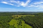 BERTHY FOREST