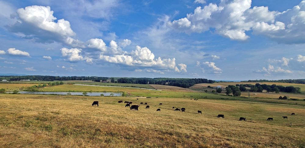 American Prairie purchases land next to tribe, waterfowl preserve