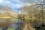 THE BIG MEADOWS ON MEADOW RIVER